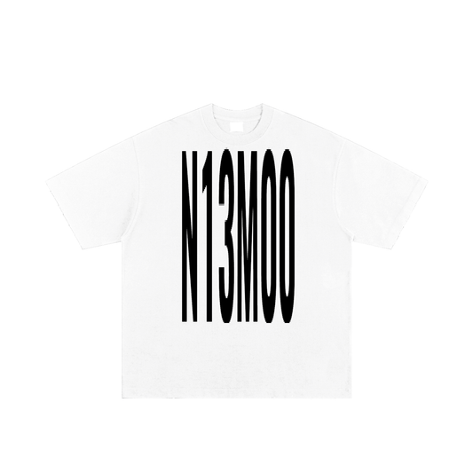 N13M00